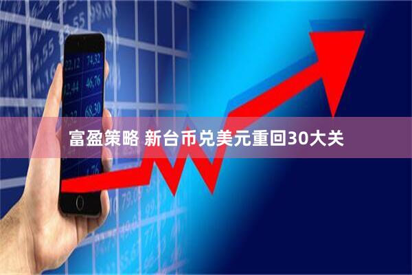 富盈策略 新台币兑美元重回30大关