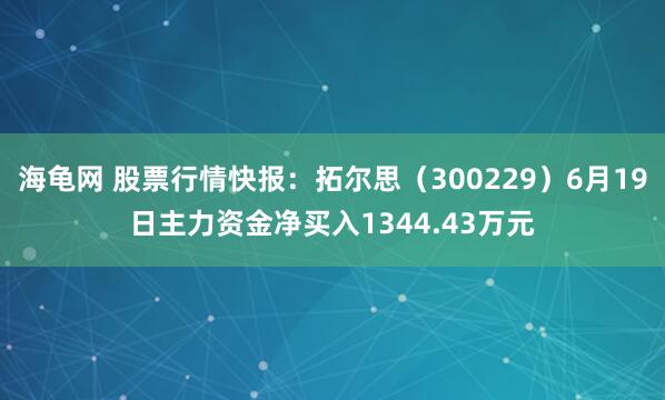 海龟网 股票行情快报：拓尔思（300229）6月19日主力资金净买入1344.43万元